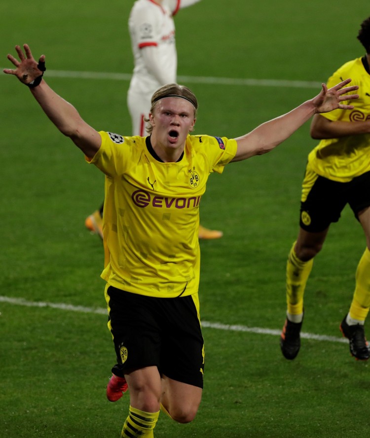 尽管失去了 尽管失去了