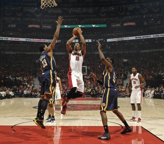 景观和清新 景观和清新