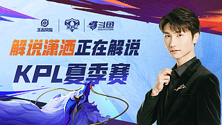 战术多样性 战术多样性