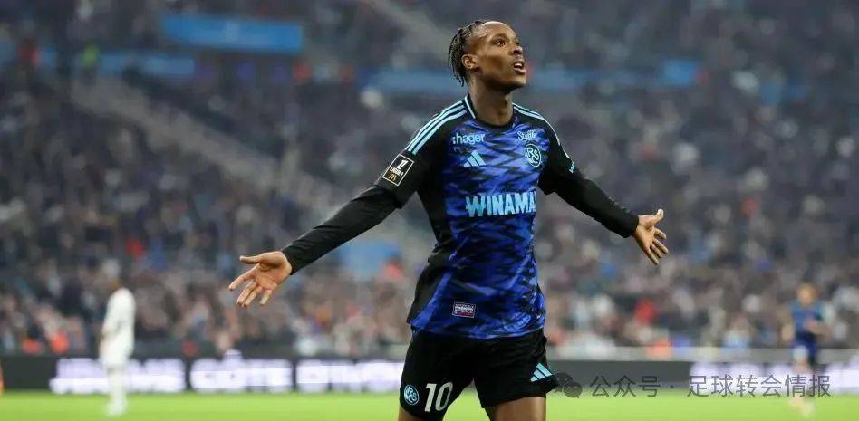 将独自承担 将独自承担