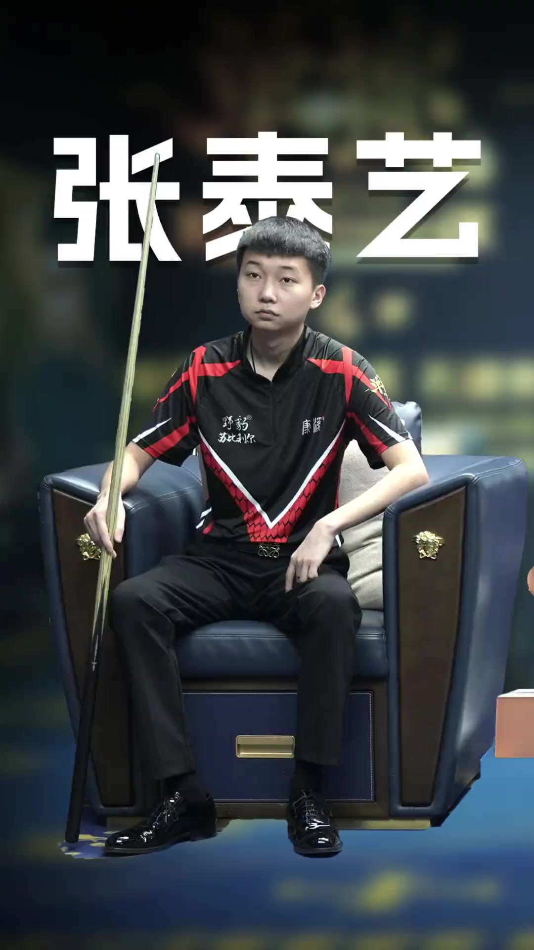 新援的引入 新援的引入