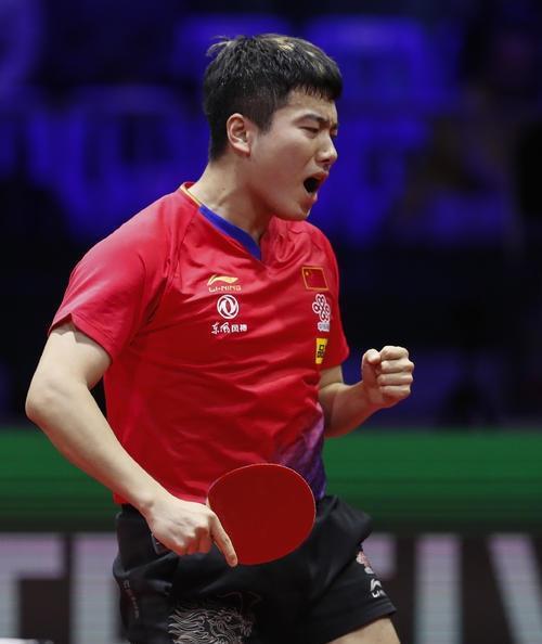 武切维奇自 武切维奇自